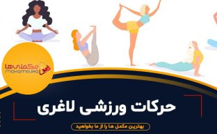 feture maghaleججج 312x194 - مکملی ها