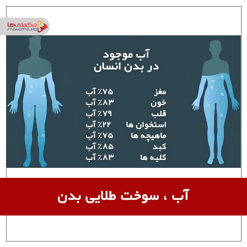 آب ، سوخت طلایی بدن : نقش حیاتی هیدراتاسیون در اوج عملکرد ورزشی aks maghalehashئئئ - آب ، سوخت طلایی بدن : نقش حیاتی هیدراتاسیون در اوج عملکرد ورزشی