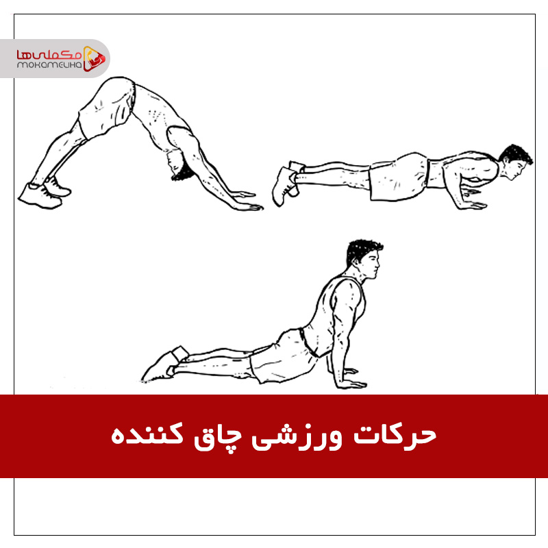 چاق