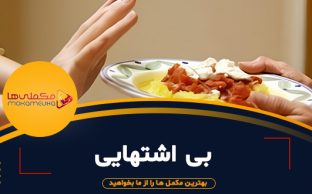 feture maghaleث 312x194 - مکملی ها