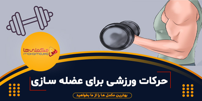 عضله عضله