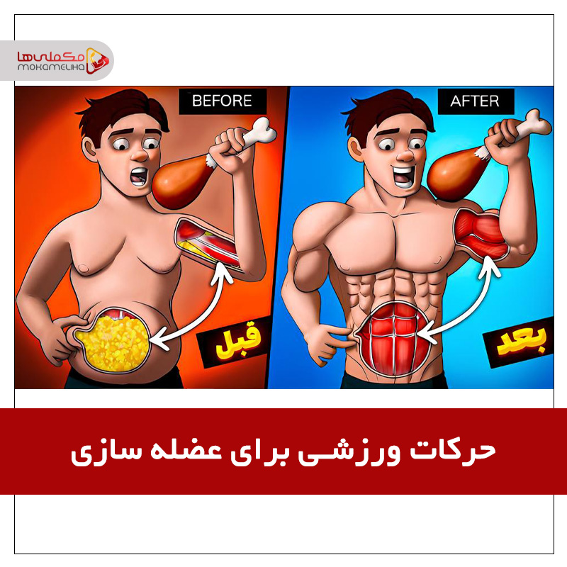 آموزش و معرفی حرکات ورزشی برای عضله سازی gvjjhnjk - آموزش و معرفی حرکات ورزشی برای عضله سازی