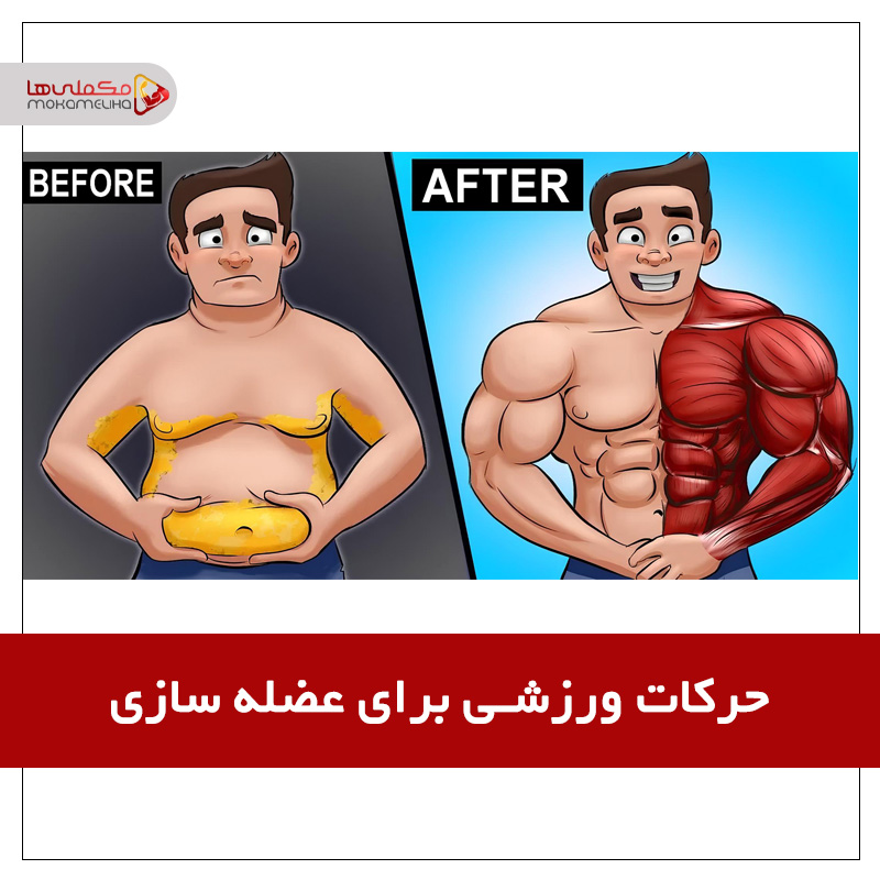 آموزش و معرفی حرکات ورزشی برای عضله سازی hbkjjkml - آموزش و معرفی حرکات ورزشی برای عضله سازی