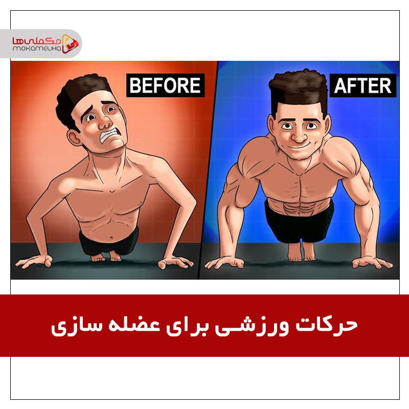 آموزش و معرفی حرکات ورزشی برای عضله سازی hthfgfg - آموزش و معرفی حرکات ورزشی برای عضله سازی