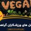 مکمل ‌های مناسب برای ورزشکاران گیاهخوار و وگانی